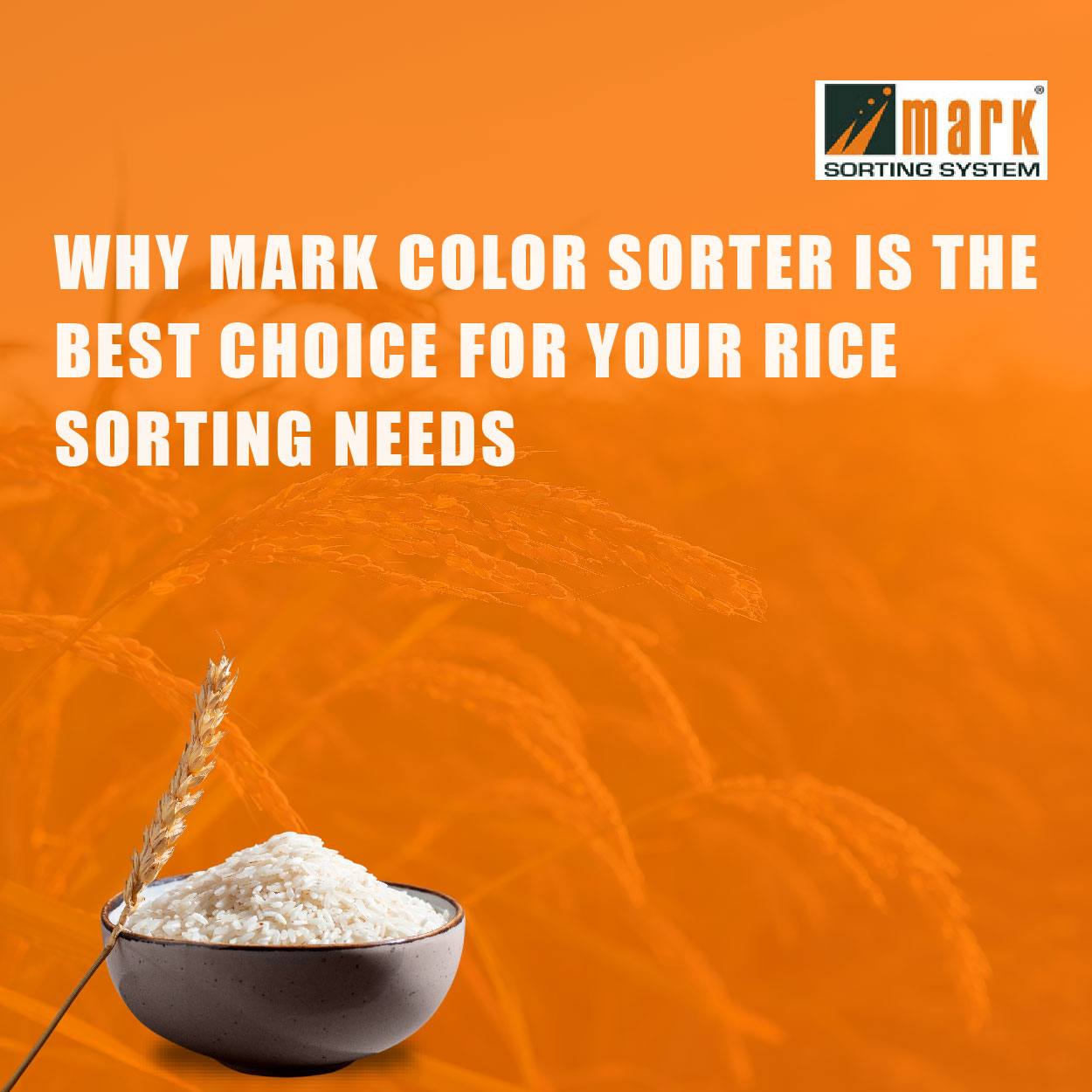 Why Mark Color Sorter Is the Best Choice for Your Rice Sorting Needs ...